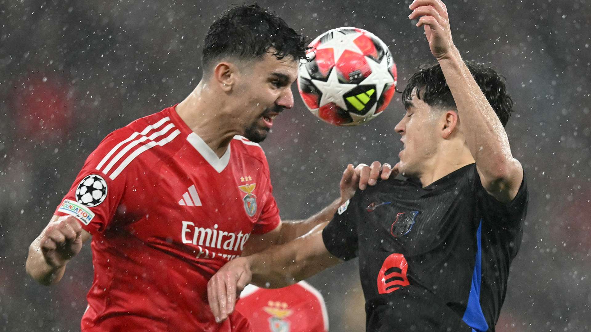 在媒体平台 在媒体平台